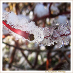 Le Feu et la Glace -- 25/01/15