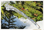 Entre Gel et D�gel -- 13/02/15