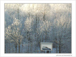 Pics de pollution. Evitons la voiture�!