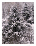 Neige entre ombre et lumi�re