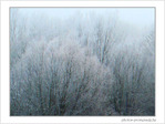 Matins givr�s -1- -- 13/01/08