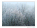 Matins givr�s -1- -- 13/01/08