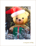 Happy Nounours de No�l -- 26/12/07