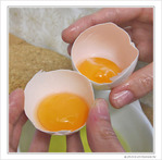 Oeufs jumeaux s�par�s. R�ponse de la r�ponse. -- 06/04/10
