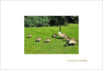 Accompagner l'Envol vers la Lumi�re -1-