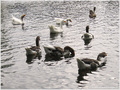 L'heure de rentrer a sonn� -- 19/04/11