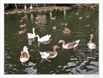 Rentr�e�! Rassemblement�! -- 14/09/10