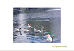 Sous les Fontaines