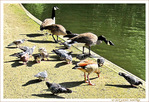 Jusqu'� la derni�re miette