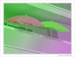 Ombre sur terrasse en vert et mauve