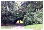 Le Pont dans le Parc -- 19/07/21