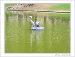 L'oiseau rare -- 19/04/05