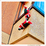 Doux No�l 2022�! -- 25/12/22
