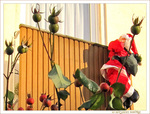 P�re No�l vient chez les enfants Sages -- 23/12/09