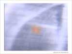 Orange furtif -- 14/12/08