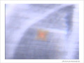 Orange furtif -- 14/12/08
