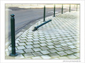 Lendemains de f�tes -- 04/01/09