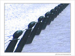 A droite, tous�! -- 22/10/06