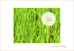 Souffle -- 20/04/09