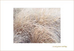 Caresses Hivernales -2-