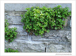 Grimper ou se laisser glisser -- 03/04/09