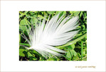 La Plume, interpr�te de la Pens�e�!