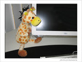 R�ves d'enfant! Tendresse - Magie -- 07/12/05