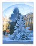 Plaisirs d'hiver 2005 -5- -- 24/12/05