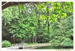 Pr�s du petit Pont -- 11/08/12