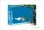 Dans ce Jardin extraordinaire, il y a � -- 17/12/05