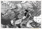 Un peu de monnaie�? -- 05/08/11