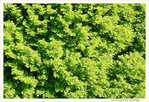 V'l� le Printemps -- 28/04/20