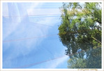 Le Bel �t� s'en ira lentement -- 16/09/14