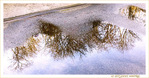 Tout passe... -- 22/02/21