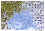 L'Arriv�e du beau Temps -- 28/05/16