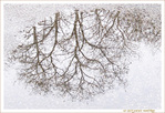 Quand la pluie dessine -- 23/03/15
