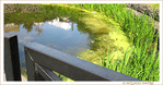 Fuir le ciel�? -- 22/07/09