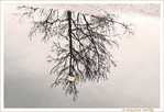 Feuille Jaune -- 17/12/15