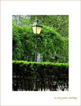 Vert tamis� -- 19/06/09