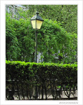 Vert tamis�