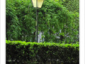 Vert tamis� -- 19/06/09