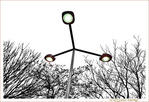 C'est encore l'Hiver -- 13/03/22