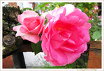 En Vie de Lumi�re -- 13/07/13