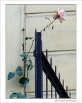 Simplicit� de l'essentiel -- 16/01/09