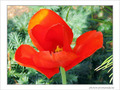Avril. Ne te d�couvre pas d'un fil�! -- 14/04/05