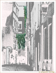 Rue du Chien Marin -2- -- 10/08/06