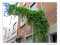 Quand le Vert est � angle droit -- 05/07/09