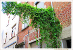 Quand le Vert est � Angle droit -- 05/07/09