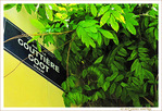 Plaque Rue de la Goutti�re