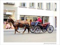 Vous m'accompagnez�? -- 31/03/05